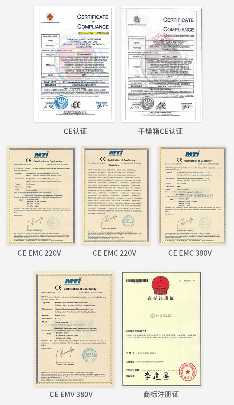電(dian)熱恒溫鼓風幹燥箱（250度）